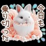 癒しうさぎのマリンスタイル☆*。