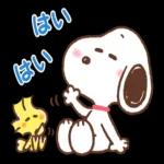 会話がはずむ毎日ことば♪