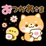 一緒に	遊ぼよ🥰🥰🥰