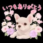 大人かわいい♡いぬと花のスタンプ