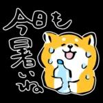 かわいい秋田犬～🐈