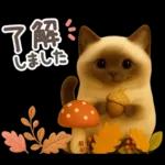 【３D】ネコ・秋　バラエティパック