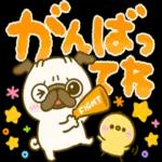 大人可愛い♡見やすいデカ文字♡パグちゃん