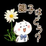 🌼春の息吹パッケージ