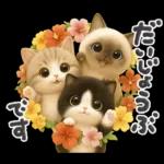 ちびニャンず♡夏の日常-毎日使える-