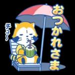 それで行きます