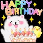 ポメラニアン❤️ぽちゃん「秋」