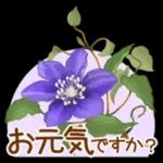 花の挨拶文