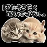 やる気ゼロ♡にゃんこ