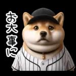 リアル野球しば犬