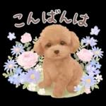 大人かわいい♡いぬと花のスタンプ