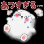 cute white Pomeranian summer 3