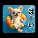 ずっと使える♡夏のチワワ