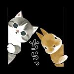 ずっとあなたを守ります😊😊😊