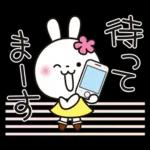 優しい2!!かわいい白うさぎ