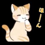 スナネコのサシャ 2