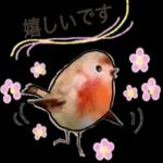 おつかれさま
です