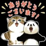 今日一日もお疲れさまでした❤️