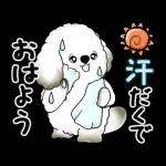 動く犬さん 2025 「暑い夏」