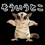 フクロモモンガ❤実りの秋は大豊作