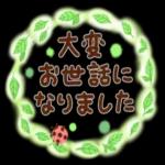 ひみつの森へようこそ