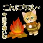 冬のキラキラおめめの子猫ちゃん