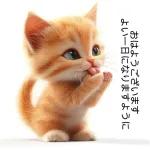 かわいい子猫がおはようございます