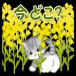 ゆっくり休んでください🥰