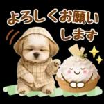 大人可愛いシーズーで梅雨の気づかい敬語