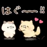 となりのにゃんこ　summer2022