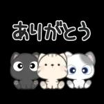 **ほのぼのにゃんこ**