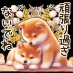 心あたたまるあいさつスタンプ＊