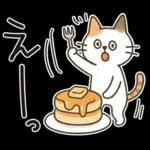 猫ちゃんとスイーツと夏