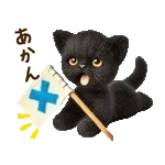 関西弁♡動く猫ぬいの家族連絡(黒猫)