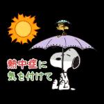 魅力的なスヌーピー🐶