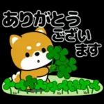 新しいスタンプいっぱい！