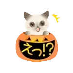 動く！ふわふわ猫たちのハロウィンスタンプ