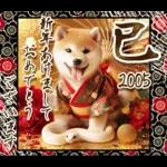 柴犬と白蛇の幸運あけおめスタンプ♡