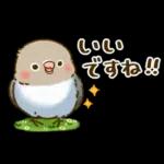 敬語が話せる！もふもふインコ