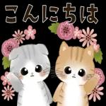 こんにちは