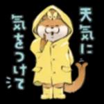 可愛い嘘のカワウソ❤️