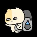 말수가 적은 고양이