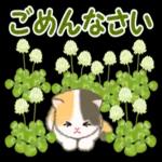 ころころ子猫 春の野原でかくれんぼ