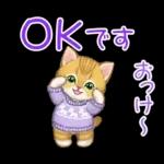 冬のキラキラおめめの子猫ちゃん