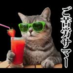 夏☆にゃんこ