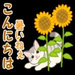  明るい年でありますように