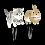 ずっとあなたを守ります😊😊😊