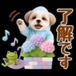 大人可愛いシーズーで梅雨の気づかい敬語