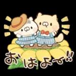 となりのにゃんこ　summer2022