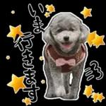 大人かわいい日常メッセージ?
